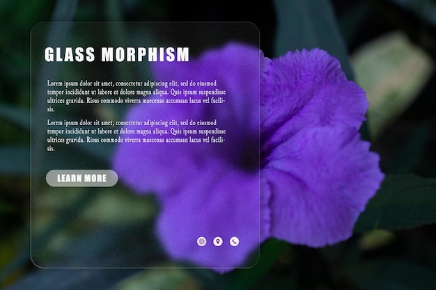 A screen shot of a purple flower with the word class morphim on it