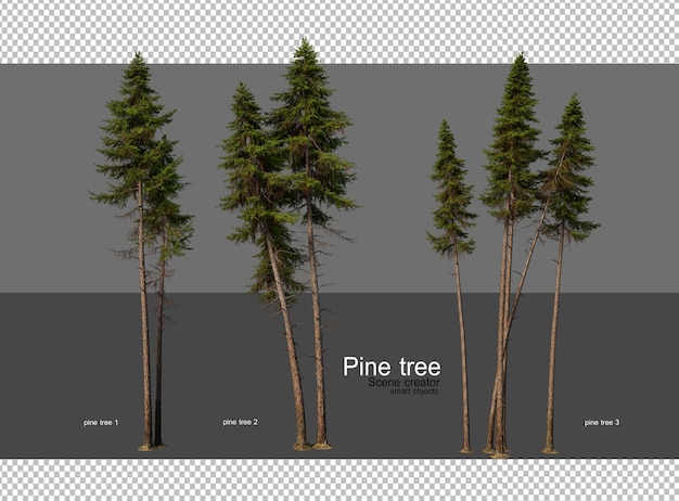 PSD a screen with a picture of pine trees on it