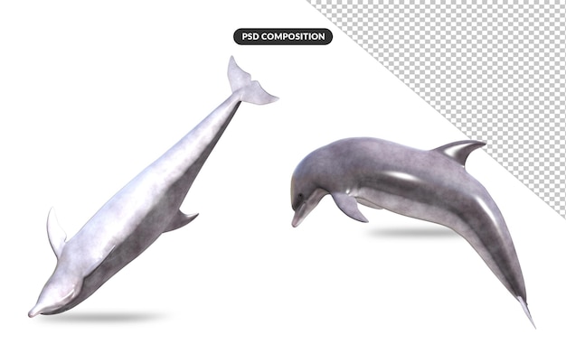 sea dolphin 3d model rendering