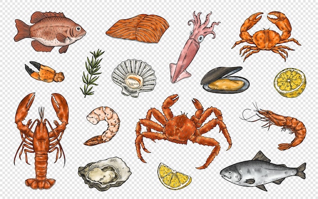 Seafood Clipart Illustrations