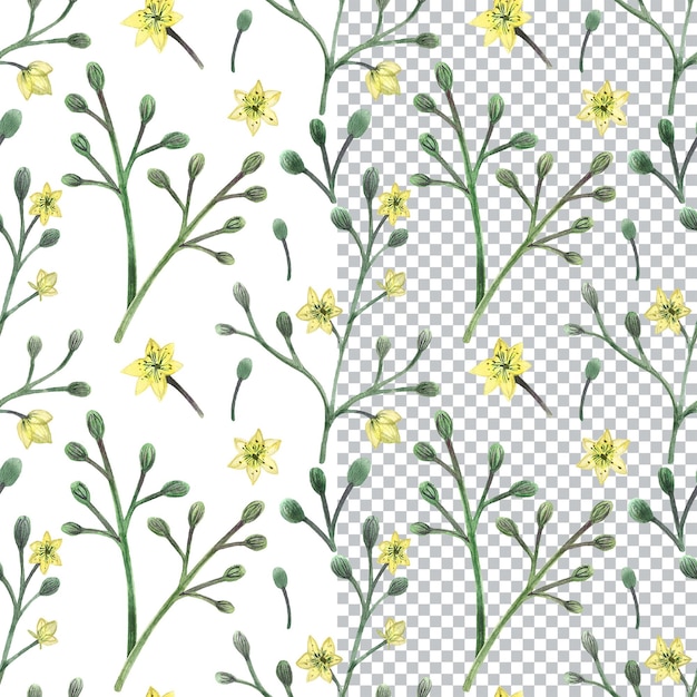 PSD seamless pattern with grass and flowers watercolor hand drawn botanical art