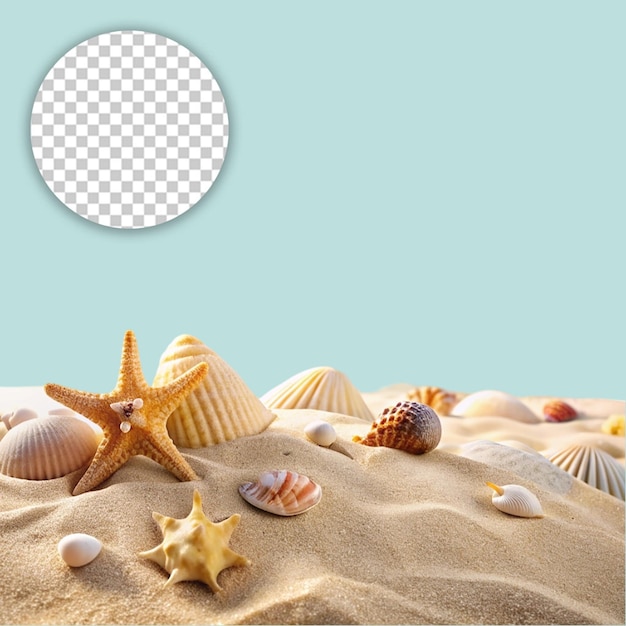 PSD seashells and starfish on a sandy beach evoking summer vacation vibes on transparent background