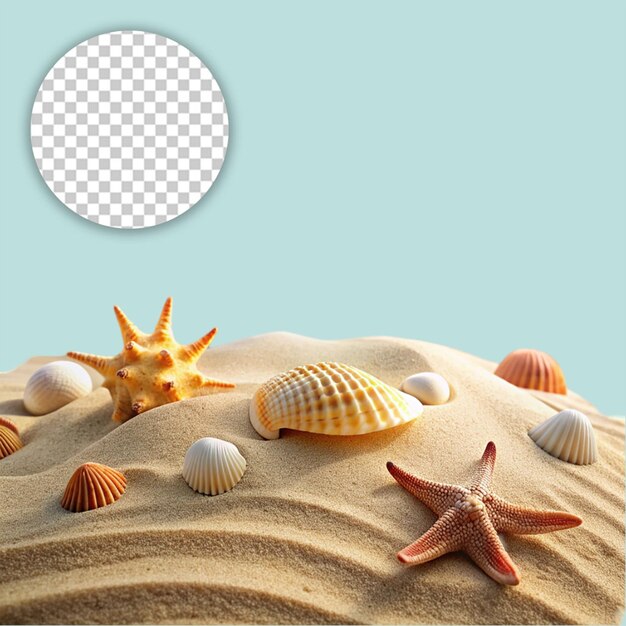 PSD seashells and starfish on a sandy beach evoking summer vacation vibes on transparent background