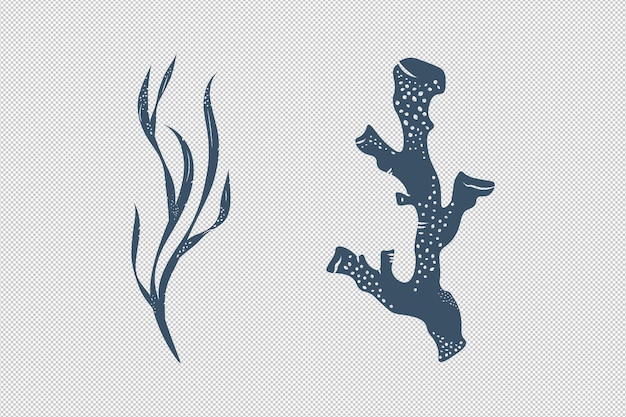 Seaweed and corals in monochrome isolated drawn elements