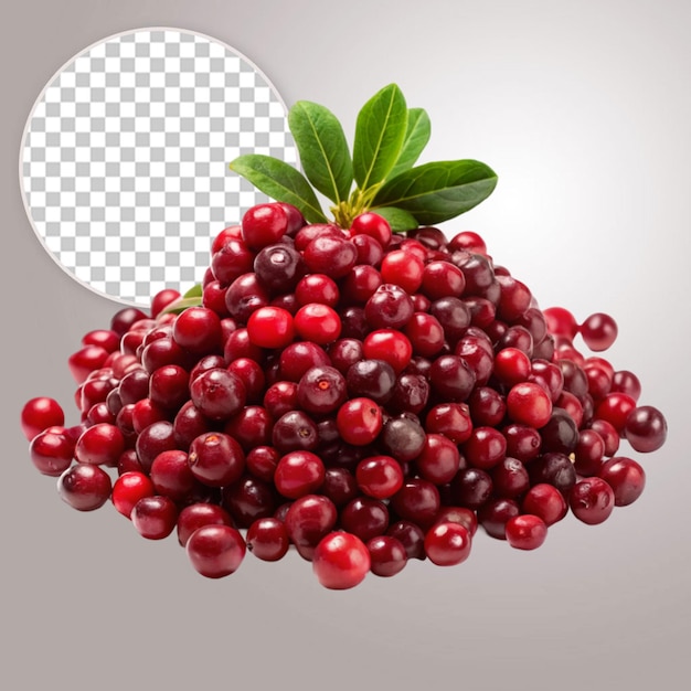 Serviceberry fruit isolated on transparent background