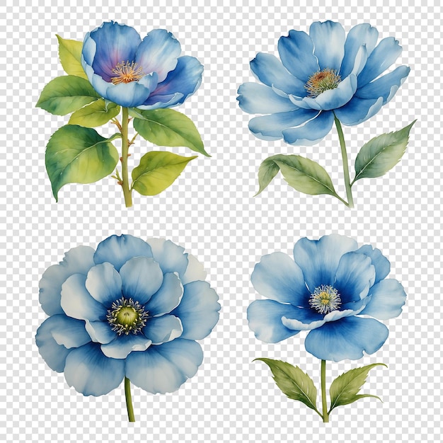 PSD set of 4 blue watercolor flowers with green stems png transparent background