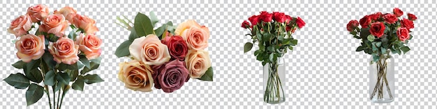 a set of bouquet of roses with a white background