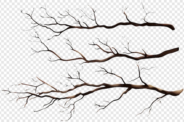 PSD set of a branch isolated on transparent background