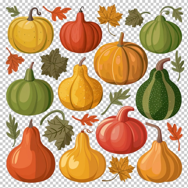 PSD set of colorful fall gourds in different shapes isolated