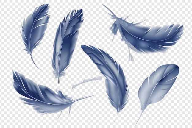 set of dark blue feathers isolated on transparent background