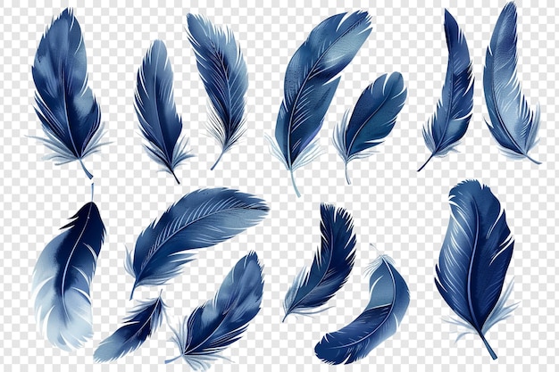 set of dark blue feathers isolated on transparent background