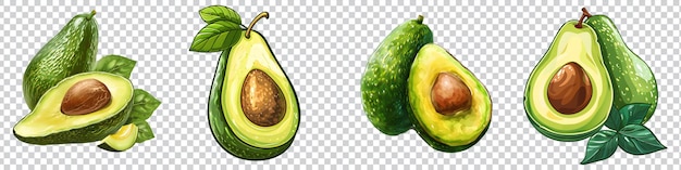 PSD a set drawing of a avocado is shown on a transparent background