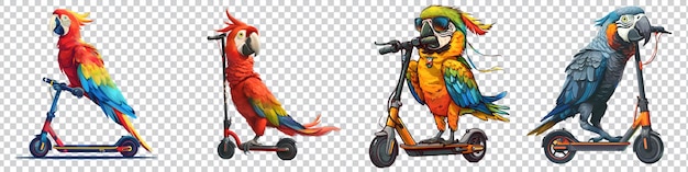 PSD a a set of drawing of a parrot on a scooter on transparent background