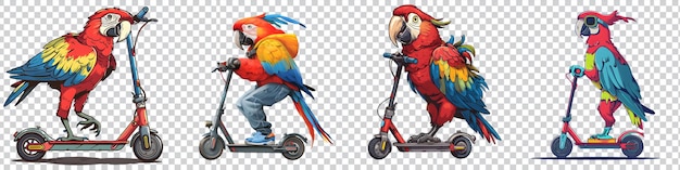 PSD a a set of drawing of a parrot on a scooter on transparent background