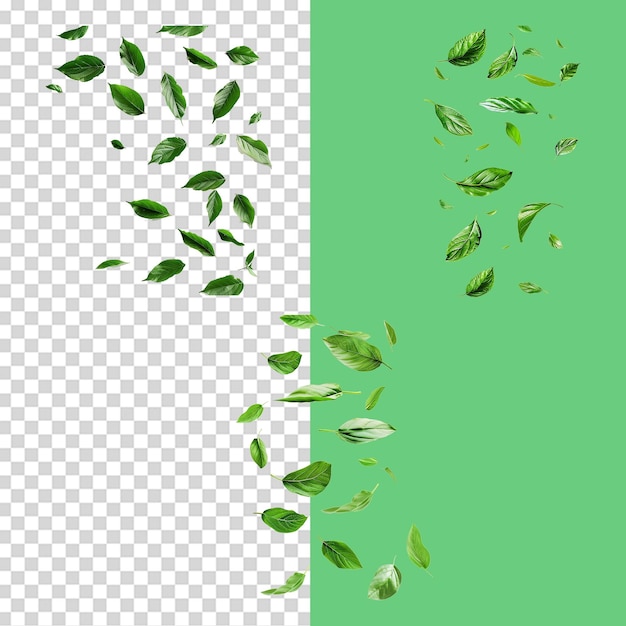 A set of Falling green leaves isolated on transparent background