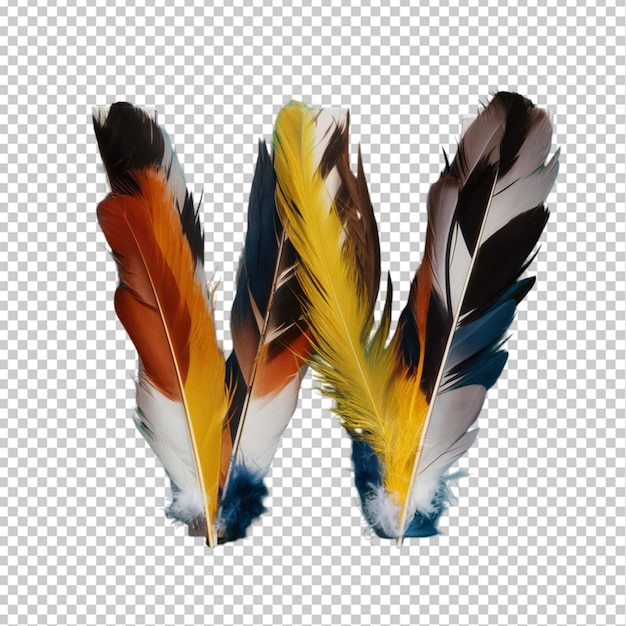 a set of feathers with the letter a on it