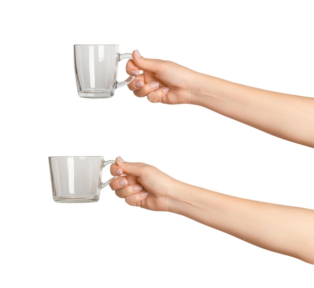 Set of female hands holding empty glass cup on empty background