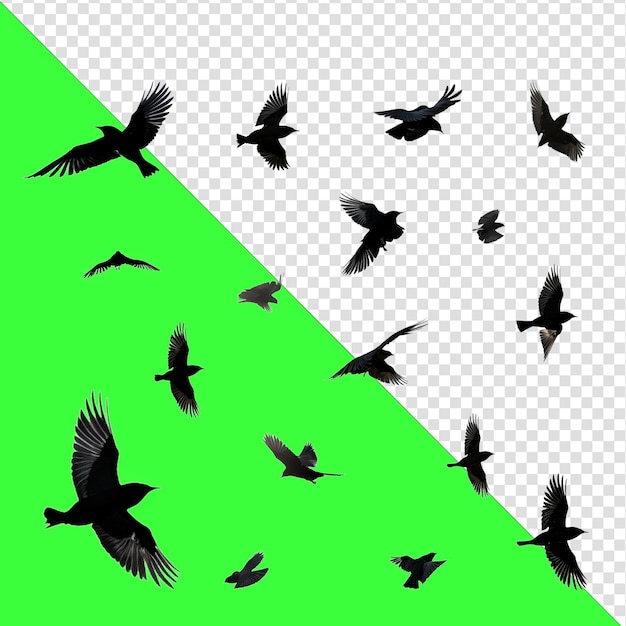 PSD set of flying crows silhouette isolated on transparent background png