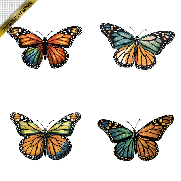 Set of HandDrawn Colorful Butterflies with Transparent Background