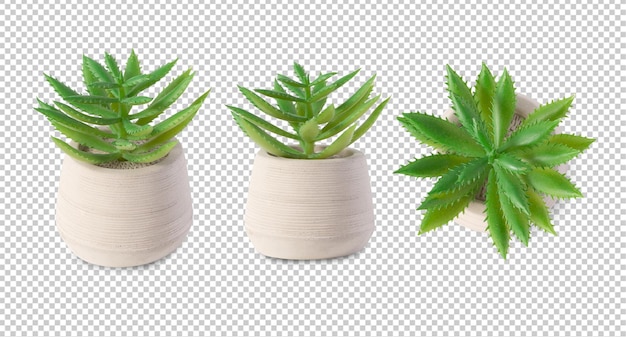 Set of Houseplant in pot cutout Psd file