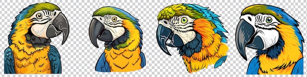 PSD set of illustration parrot on transparent background