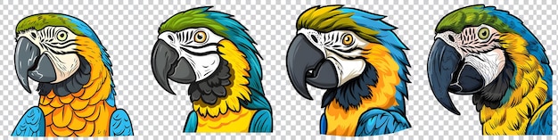 PSD set of illustration parrot on transparent background