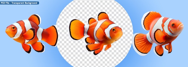 Set of Marine Life Orange and White Clown Fish