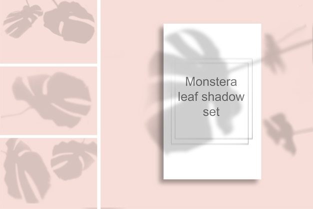 PSD a set of monstera leaf shadows on a pink wall. black and white summer for photo overlay or layout.