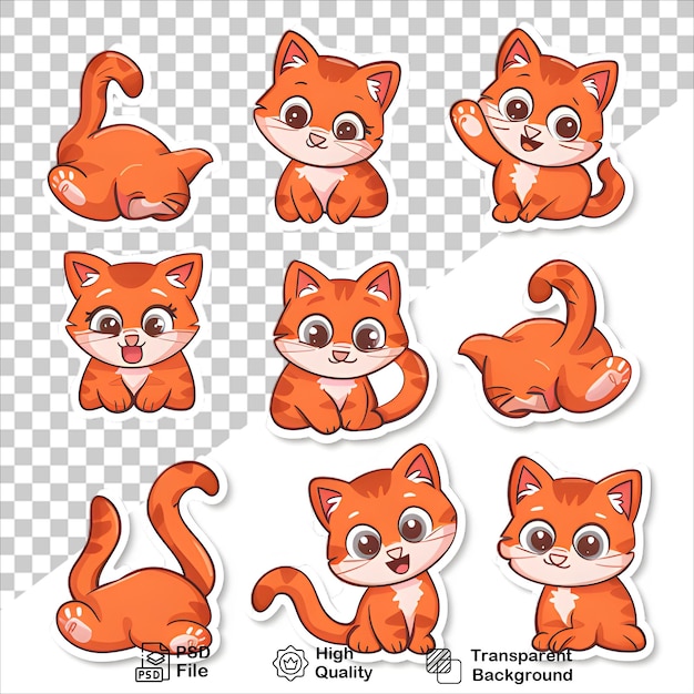 a set of orange cats with different sizes and letters