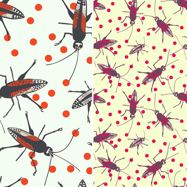 a set of pictures of bugs and bugs on a yellow background