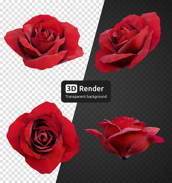 Set of red rose flower buds 3d render isolated