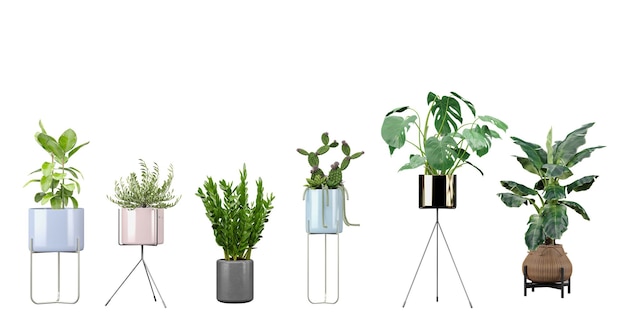 Set of Transparent plants cutout for digital art