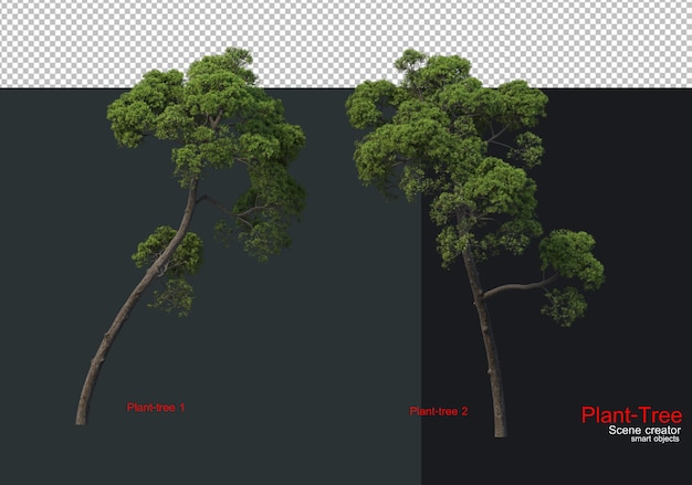 A set of trees with the right side and bottom side of the image.