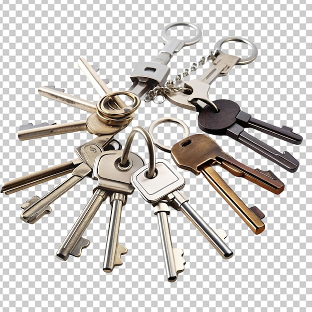 set of various keys on keyrings