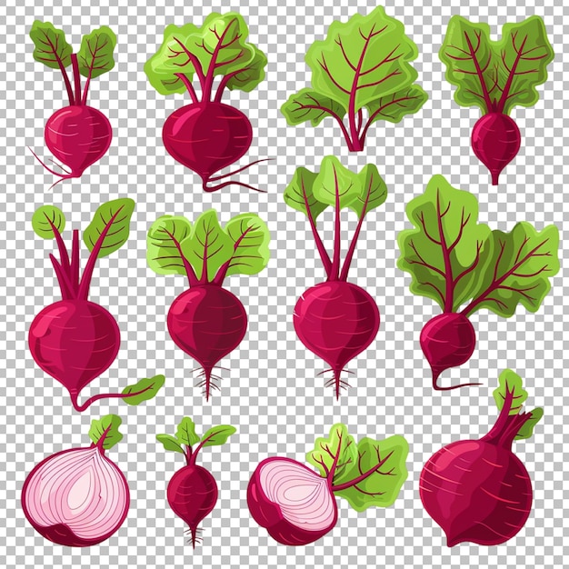 a set of vegetables including radish radish radish and radish on transparent background png