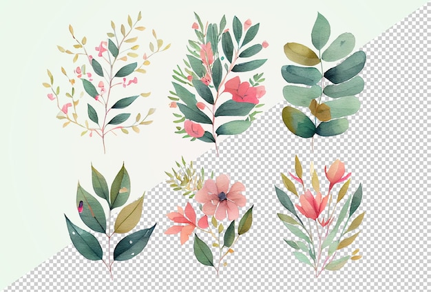 a set of watercolor flowers and leaves Clip-Art on Transparent Background