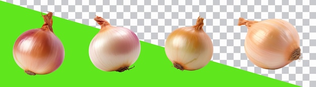 PSD sets of yellow onion isolated on png