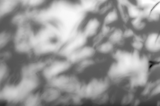 PSD shadow tree with leaves on a gray background abstract image