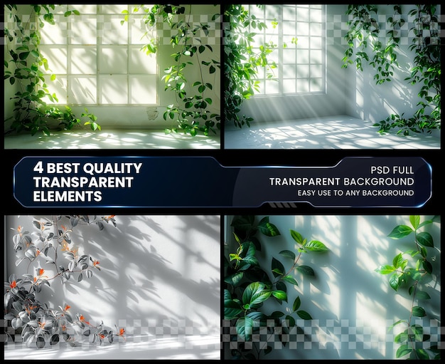 PSD shadowed leaves glowing window overlay on transparent background