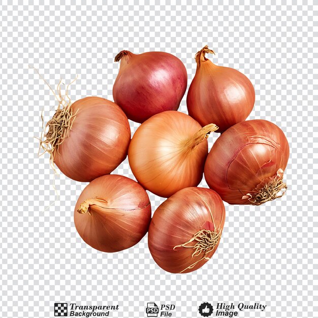 PSD shallots isolated on transparent background