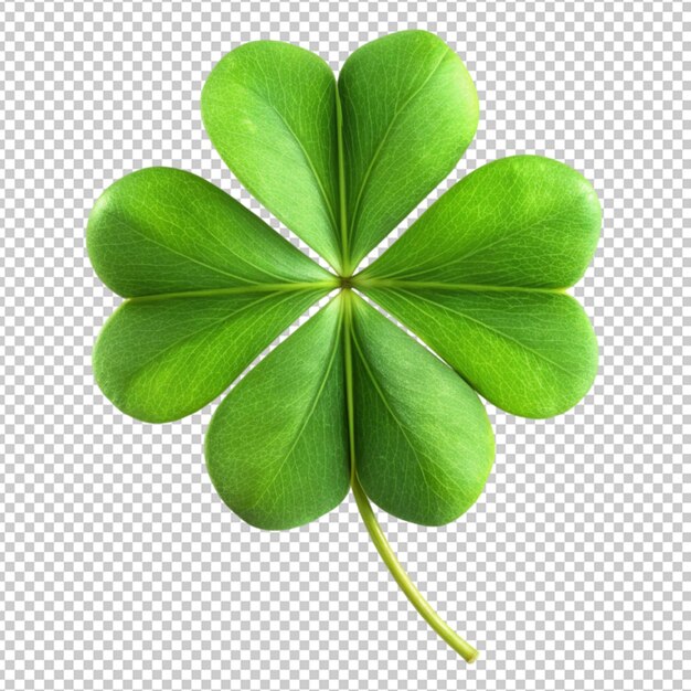 PSD shamrock four