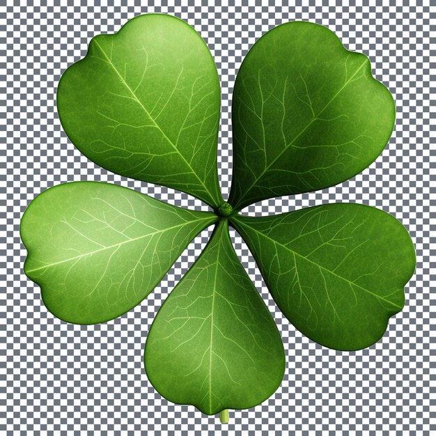 shamrock leaves