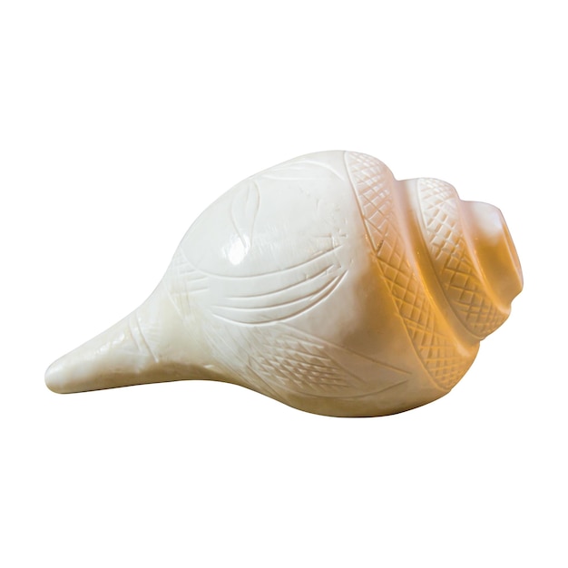 Shankha seashell is a conch shell of ritual and religious importance in Hinduism and Buddhis concept