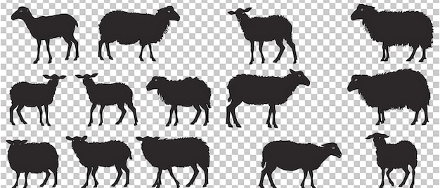 PSD sheep silhouette arabian pattern set against transparent background