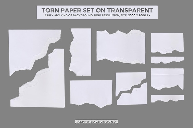 A sheet of torn paper is shown on a gray background.