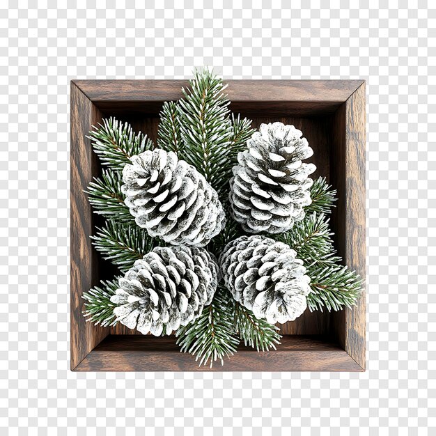 PSD silver spruce cone with christmas elegance isolated on a transparent background for decoration