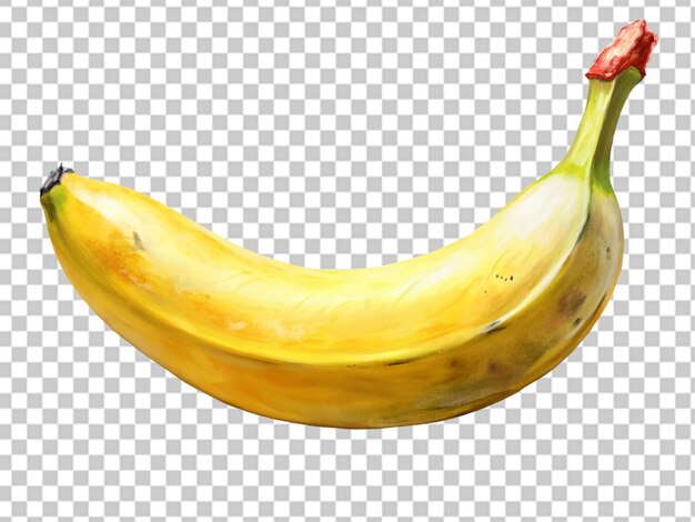 Single banana isolated on a white background