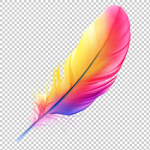 PSD single colorful feather