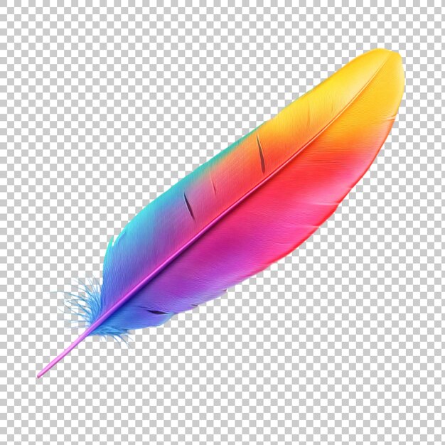 PSD single colorful feather