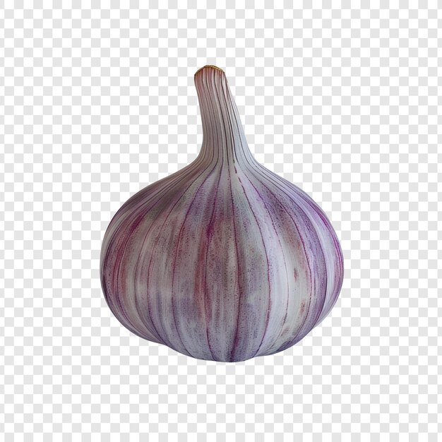 Single Garlic Bulb